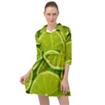 Lime Slices Close Up, Fresh, Fruit, Green Lemon Mini Skater Shirt Dress