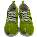 Lime Slices Close Up, Fresh, Fruit, Green Lemon Mens Athletic Shoes