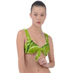 Lime Slices Close Up, Fresh, Fruit, Green Lemon Front Tie Bikini Top