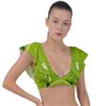 Lime Slices Close Up, Fresh, Fruit, Green Lemon Plunge Frill Sleeve Bikini Top