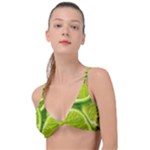 Lime Slices Close Up, Fresh, Fruit, Green Lemon Knot Up Bikini Top