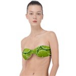 Lime Slices Close Up, Fresh, Fruit, Green Lemon Classic Bandeau Bikini Top 