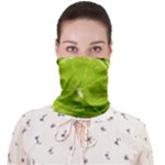 Lime Slices Close Up, Fresh, Fruit, Green Lemon Face Covering Bandana (Adult)