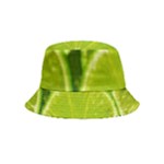 Lime Slices Close Up, Fresh, Fruit, Green Lemon Bucket Hat (Kids)