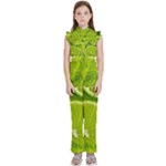 Lime Slices Close Up, Fresh, Fruit, Green Lemon Kids  Sleeveless Ruffle Edge Band Collar Chiffon One Piece