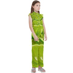 Kids  Sleeveless Ruffle Edge Band Collar Chiffon One Piece 