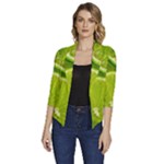 Lime Slices Close Up, Fresh, Fruit, Green Lemon Women s Draped Front 3/4 Sleeve Shawl Collar Jacket