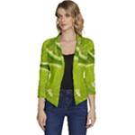 Lime Slices Close Up, Fresh, Fruit, Green Lemon Women s Casual 3/4 Sleeve Spring Jacket