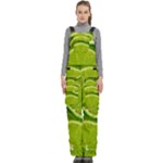 Lime Slices Close Up, Fresh, Fruit, Green Lemon Women s Side Zip Front Pouch Ski And Snowboard Bib Pants	