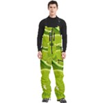 Lime Slices Close Up, Fresh, Fruit, Green Lemon Men s Front Zip Ski And Snowboard Bib Pants