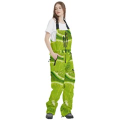 Women s Front Zip Ski And Snowboard Bib Pants 