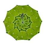 Lime Slices Close Up, Fresh, Fruit, Green Lemon Automatic Folding Umbrella with Case (Large)