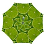 Lime Slices Close Up, Fresh, Fruit, Green Lemon Automatic Folding Umbrella with Case (Medium)