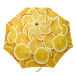 Oranges, Orange, Fruits Folding Umbrellas