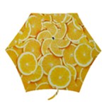 Oranges, Orange, Fruits Mini Folding Umbrellas