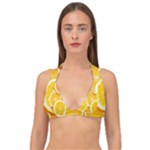 Oranges, Orange, Fruits Double Strap Halter Bikini Top