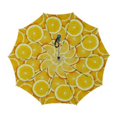 Oranges, Orange, Fruits Automatic Folding Umbrella with Case (Large) from ArtsNow.com