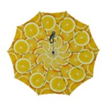 Oranges, Orange, Fruits Automatic Folding Umbrella with Case (Large)