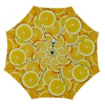 Oranges, Orange, Fruits Automatic Folding Umbrella with Case (Medium)