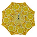 Automatic Folding Umbrella with Case (Medium) 