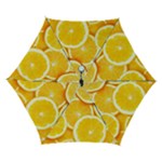 Oranges, Orange, Fruits Automatic Folding Umbrella with Case (Small)