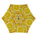 Automatic Folding Umbrella with Case (Small) 