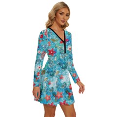 Long Sleeve Deep V Mini Dress  