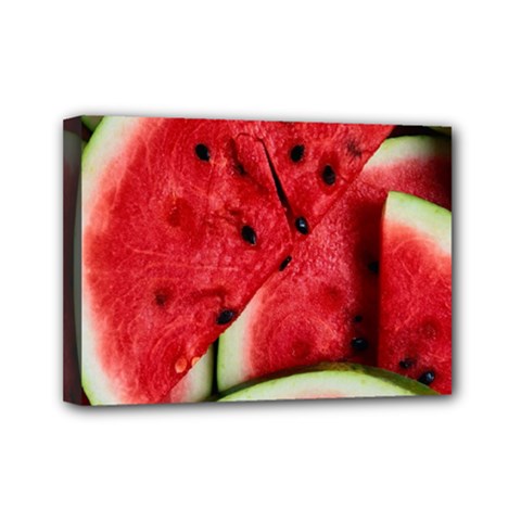 Watermelon, Fruit, Green, Red Mini Canvas 7  x 5  (Stretched) from ArtsNow.com