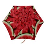 Watermelon, Fruit, Green, Red Mini Folding Umbrellas