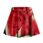 Watermelon, Fruit, Green, Red Mini Flare Skirt