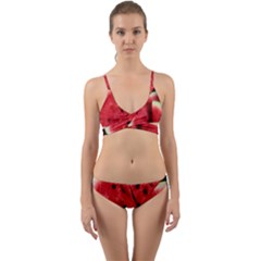 Wrap Around Bikini Set 