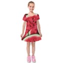 Kids  Short Sleeve Velvet Dress 