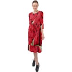 Watermelon, Fruit, Green, Red Ruffle End Midi Chiffon Dress