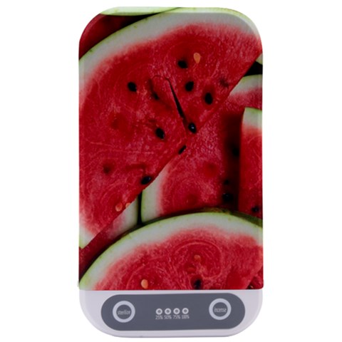 Watermelon, Fruit, Green, Red Sterilizers from ArtsNow.com