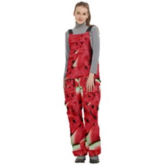 Women s Side Zip Front Pouch Ski And Snowboard Bib Pants	 