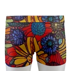 Men s Boxer Briefs 