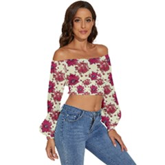 Long Sleeve Crinkled Weave Crop Top 