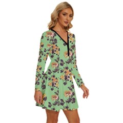 Long Sleeve Deep V Mini Dress  