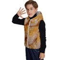 Kids  Stylish Hooded Puffer Vest 