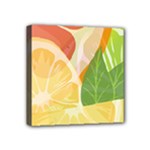 Citrus Fruit Healthy Vitamin Mini Canvas 4  x 4  (Stretched)