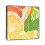 Citrus Fruit Healthy Vitamin Mini Canvas 6  x 6  (Stretched)