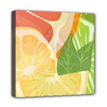 Citrus Fruit Healthy Vitamin Mini Canvas 8  x 8  (Stretched)