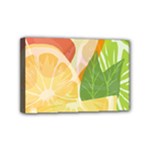 Citrus Fruit Healthy Vitamin Mini Canvas 6  x 4  (Stretched)