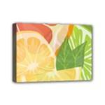 Citrus Fruit Healthy Vitamin Mini Canvas 7  x 5  (Stretched)