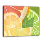 Citrus Fruit Healthy Vitamin Canvas 20  x 16  (Stretched)