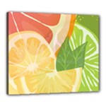 Citrus Fruit Healthy Vitamin Canvas 24  x 20  (Stretched)