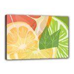 Citrus Fruit Healthy Vitamin Canvas 18  x 12  (Stretched)