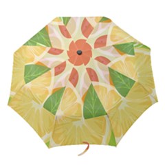 Folding Umbrella 