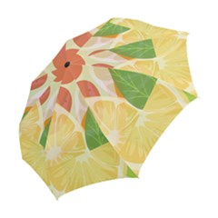 Folding Umbrella 