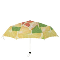 Folding Umbrella 